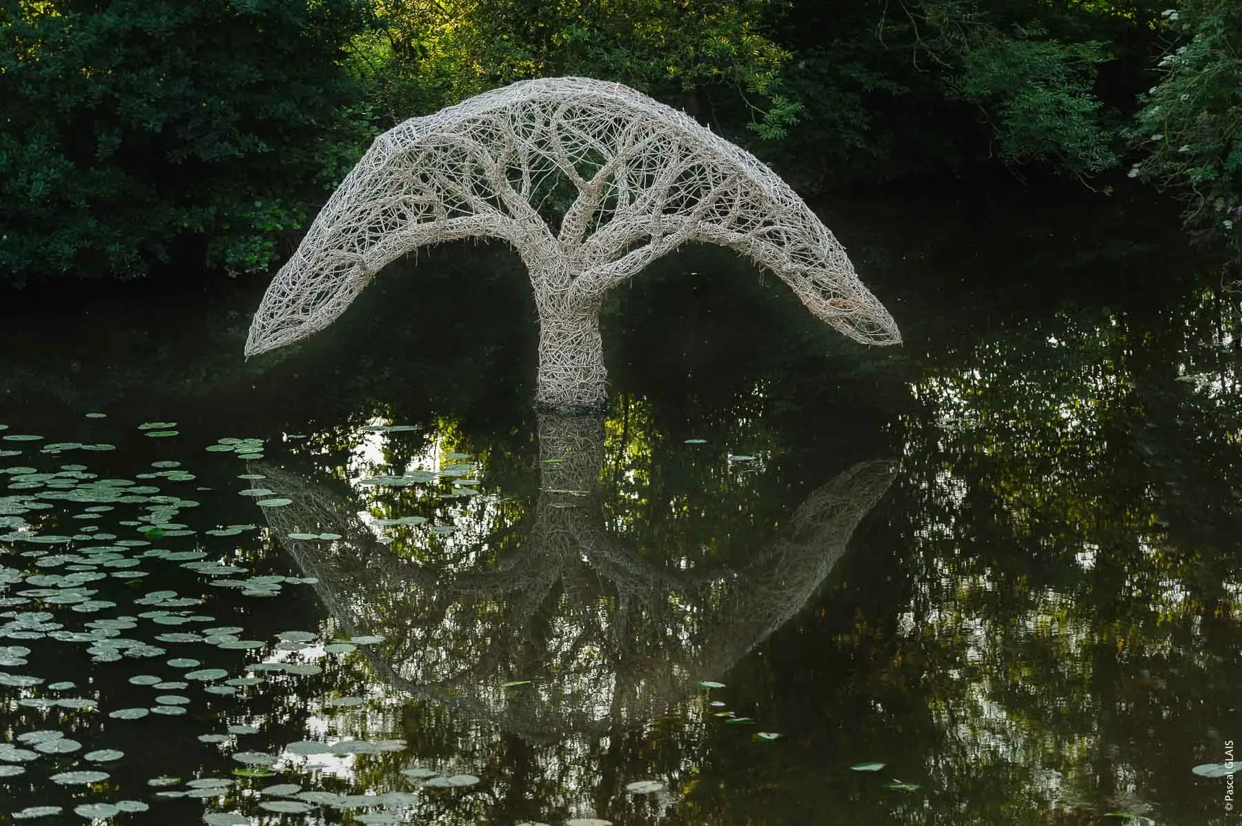 Inspire-Expire L'Arbre Et Son Reflet (2018) par Véronique Matteudi