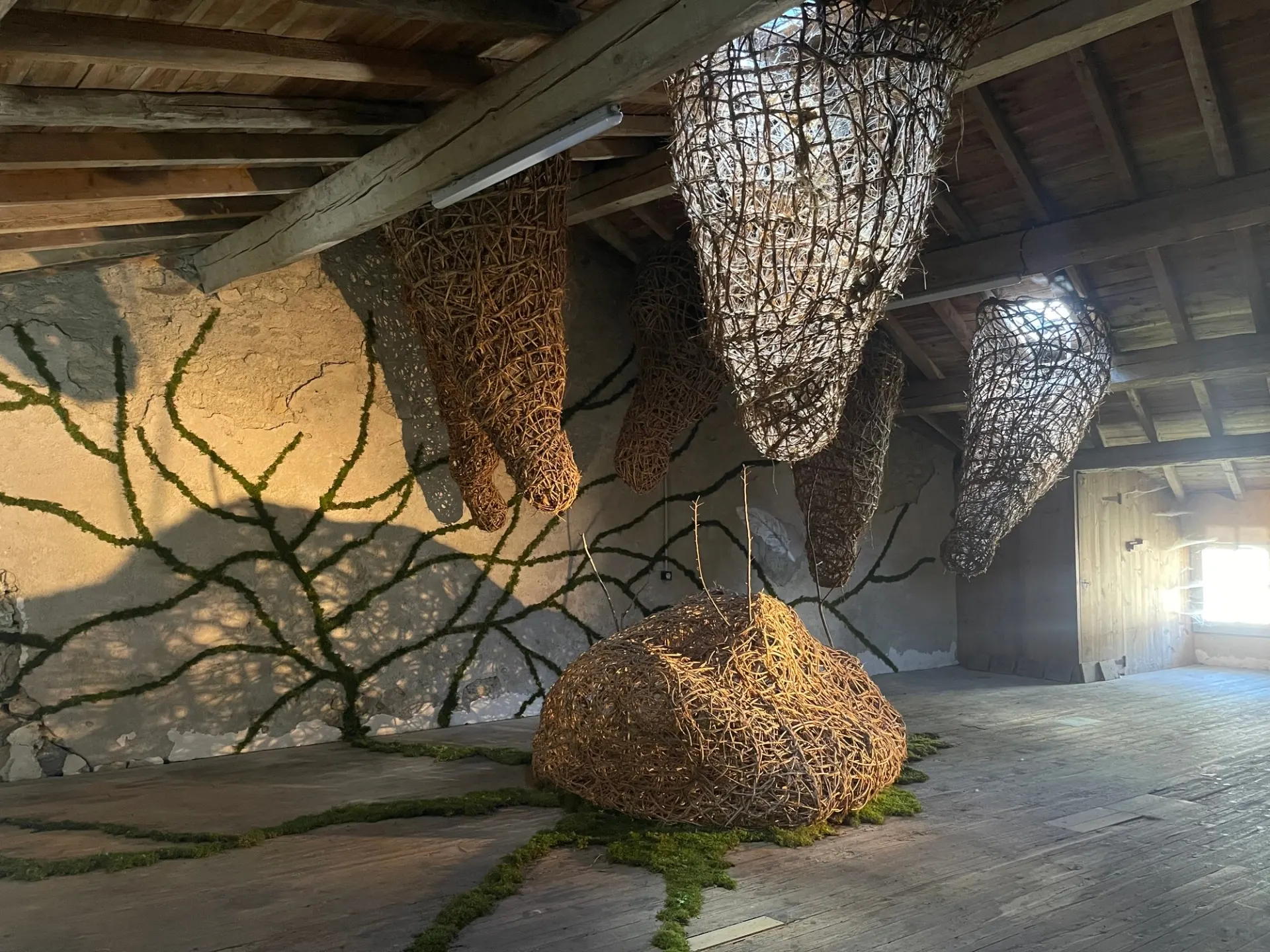 Exposition « Etre Vivant » (2025) par Véronique Matteudi