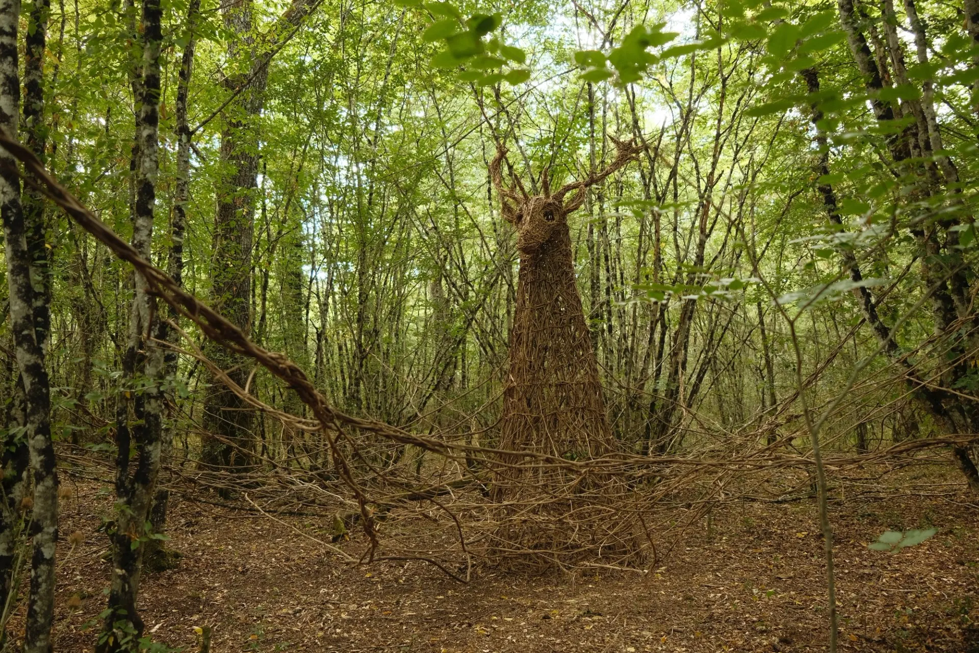 L’Esprit De La Forêt (2022) par Véronique Matteudi